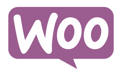 woocommerce custom wordpress ecommerce online store development