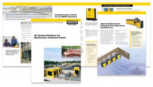 internation_company_brand_development